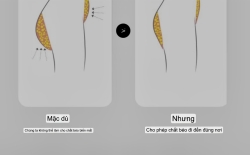 Quần độn mông nữ 3 chức năng nâng mông , gen bụng và gọn dùi lady sky cao cấp mã w2006